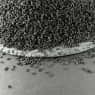 Чорний кмин (калінджі) — фото