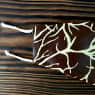 Текстильна оболонка на 2 кг Шоколадна Жилки — фото